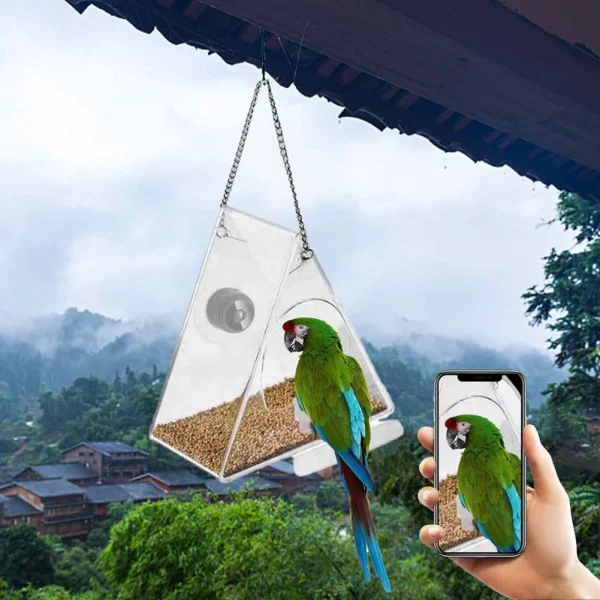 A bird perched on the smart bird feeder, illustrating its use in attracting wildlife.