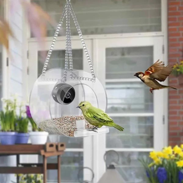 Smart bird feeder mounted on a tree branch in an outdoor garden setting.