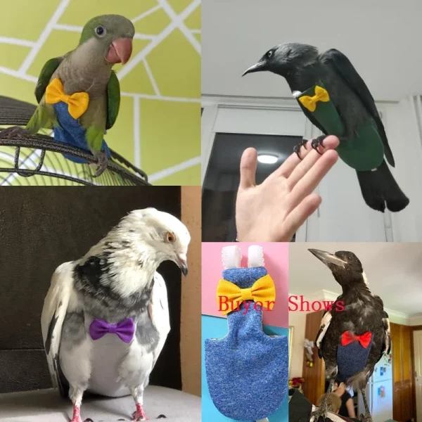 Bird perched on a hand while wearing a flight suit
