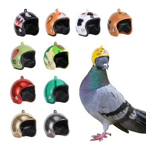 Bird Accessories