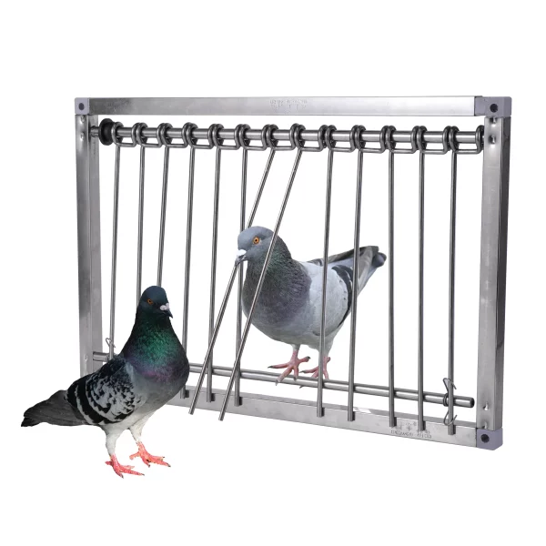 Front view of stainless steel pigeon loft door with wire frame