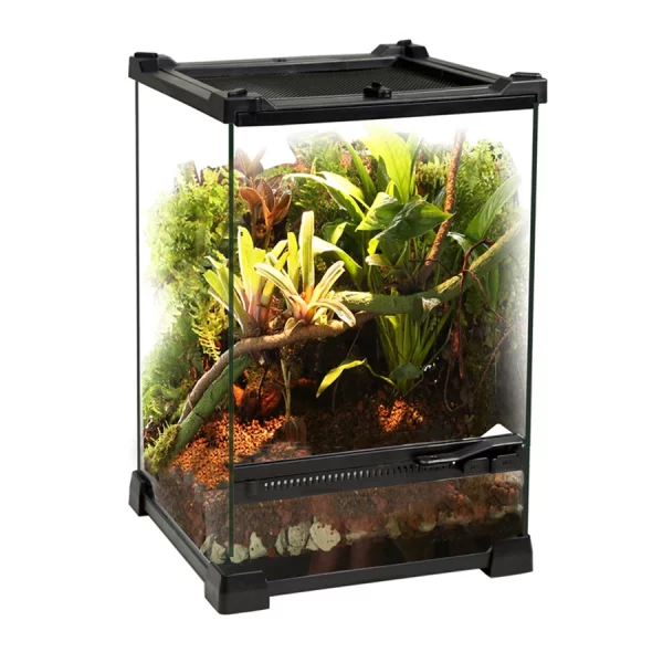 Tempered glass reptile terrarium, interior view with substrate