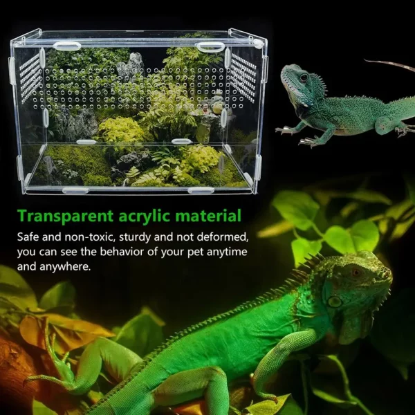 Reptile breeding box shown with substrate and decor elements