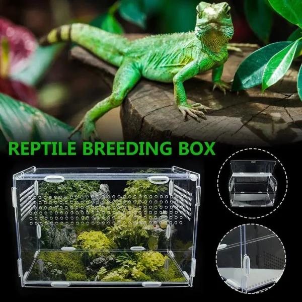 Stacking capability of multiple acrylic reptile habitats