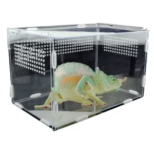 Transparent acrylic reptile breeding box, front view