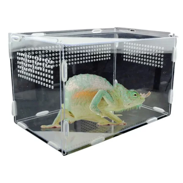 Transparent acrylic reptile breeding box, front view