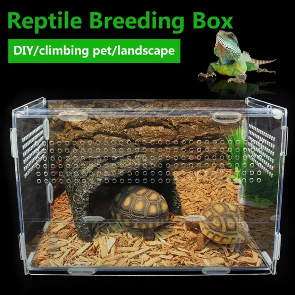Close-up of the clamshell opening mechanism on the terrarium box