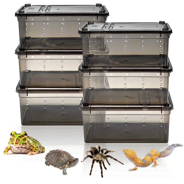 6pcs,Reptile plastic terrarium, transport container for lizards, geckos, snakes, spiders, scorpions, beetles,