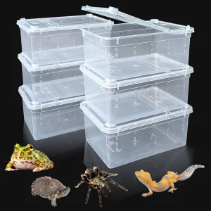 6pcs,Reptile plastic terrarium, transport container for lizards, geckos, snakes, spiders, scorpions, beetles,