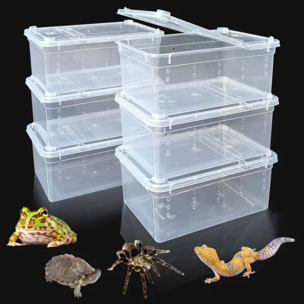 6pcs,Reptile plastic terrarium, transport container for lizards, geckos, snakes, spiders, scorpions, beetles,