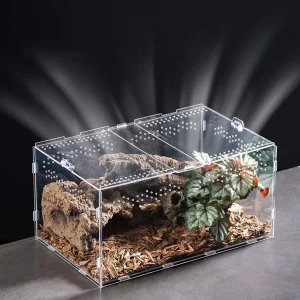 Transparent acrylic reptile terrarium, front view