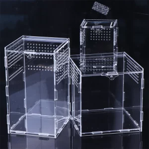 Clear acrylic reptile breeding box, front view showing secure closure