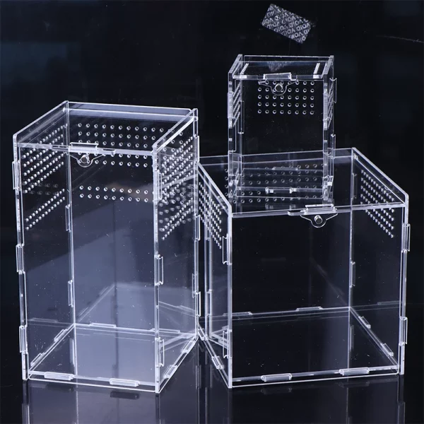 Clear acrylic reptile breeding box, front view showing secure closure