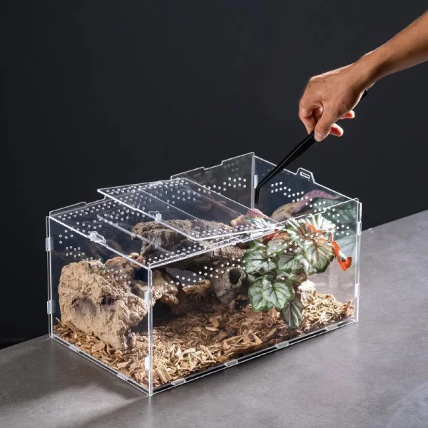 Side profile of a small, clear acrylic terrarium for insects