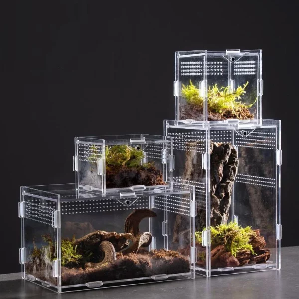 Reptile enclosure with a magnetic buckle closure mechanism on the lid