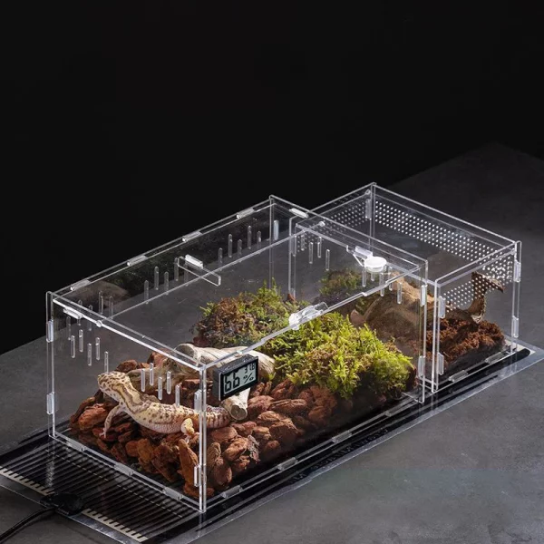 Arboreal enclosure case for spiders and scorpions, showing clear walls