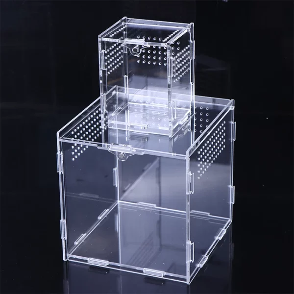 Reptile feeding cage with clear acrylic walls and ventilation holes