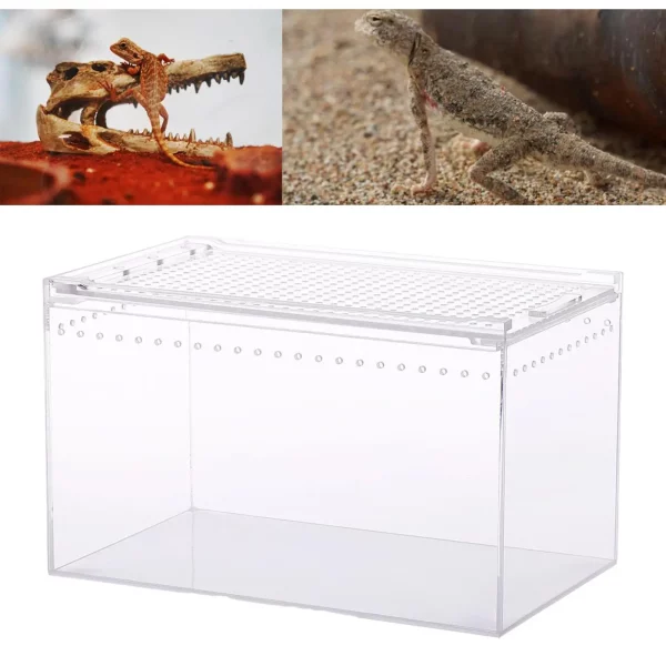Close-up of ventilation holes on the side of a reptile terrarium