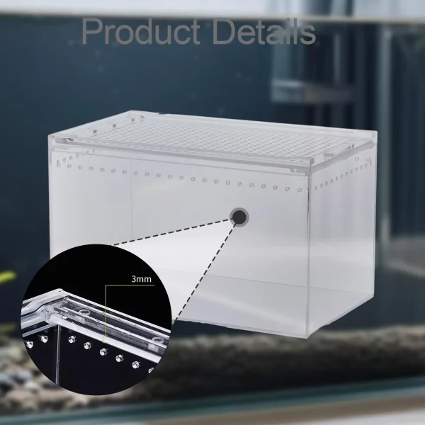 Spacious interior of an acrylic reptile habitat for small animals