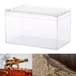 Clear acrylic reptile terrarium enclosure, front view