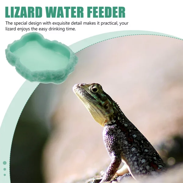 Another angle of the reptile water dish, showing its capacity