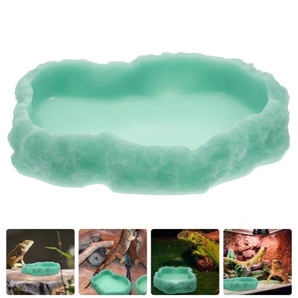 Top-down view of the reptile food and water dish showing surface texture