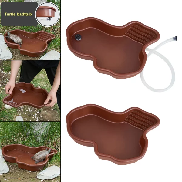 Reptile feeding plate detail, showing the smooth, easy-to-clean surface.