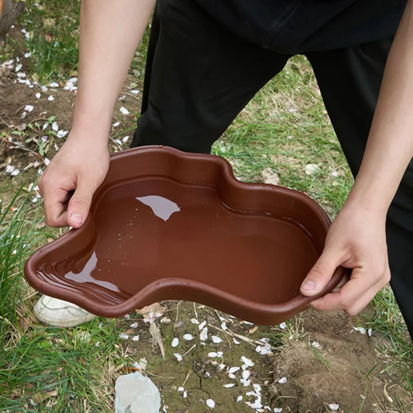 Close-up of the reptile water dish ramp, illustrating easy access for tortoises.