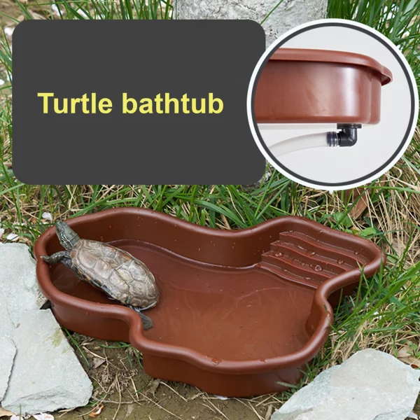 Reptile water dish placed in a terrarium, demonstrating its use as a habitat feature.