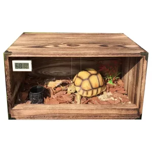 Large acrylic reptile enclosure, front view, spacious interior
