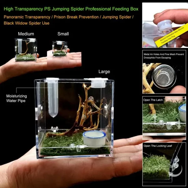 Large clear acrylic insect feeding box with accessories inside