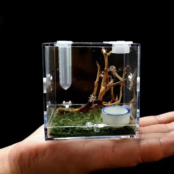Clear acrylic reptile breeding box, front view with lid closed