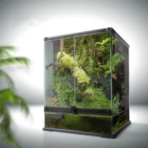 Front view of a small naturalistic terrarium with a reptile inside