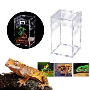 Front view of a transparent acrylic reptile breeding box