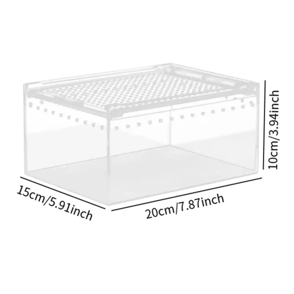 Multiple transparent reptile habitat cages arranged together