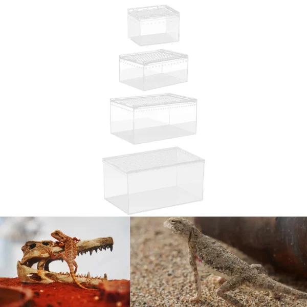 Close-up of the high-clarity acrylic material used in the reptile cage