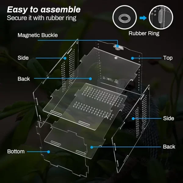 Secure acrylic enclosure for reptile breeding and observation
