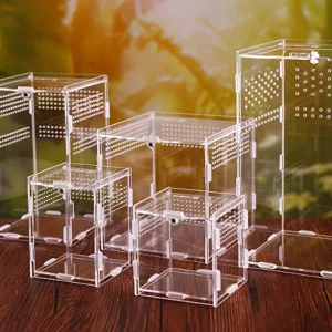 Clear acrylic reptile terrarium with secure lid