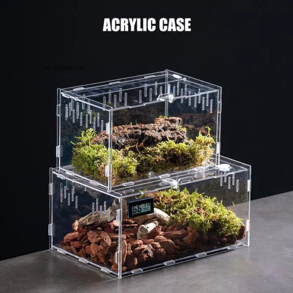 Close-up of the magnetic buckle closure on the reptile terrarium