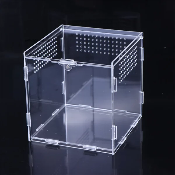 Stackable acrylic reptile breeding boxes for efficient space use
