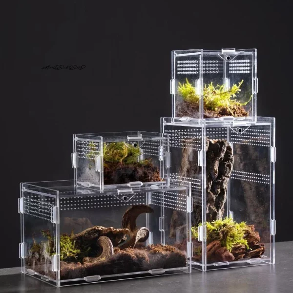 Transparent acrylic reptile breeding terrarium box, front view