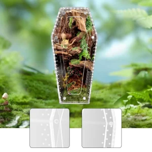 Reptile Amphibian Supplies