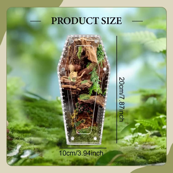 Acrylic jumping spider enclosure, showing scale with small pet