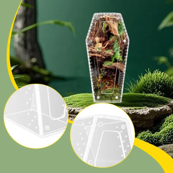 Acrylic jumping spider enclosure, side view, ventilation holes