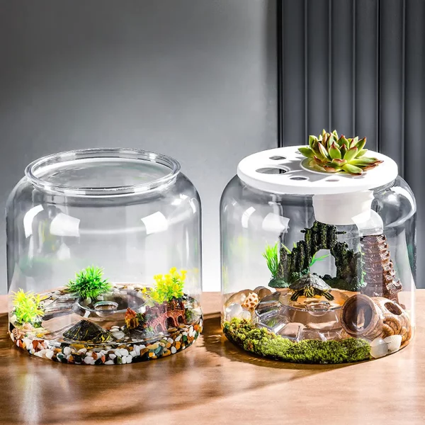Transparent turtle tank with removable lid, clear view of interior.