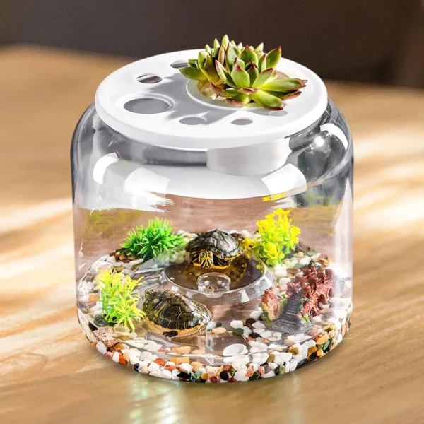 Top view of the decorative terrarium container with lid.