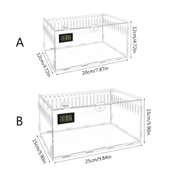 Compact acrylic habitat for spiders or small lizards
