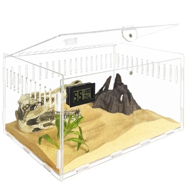 Clear acrylic reptile feeding box with top access, side view