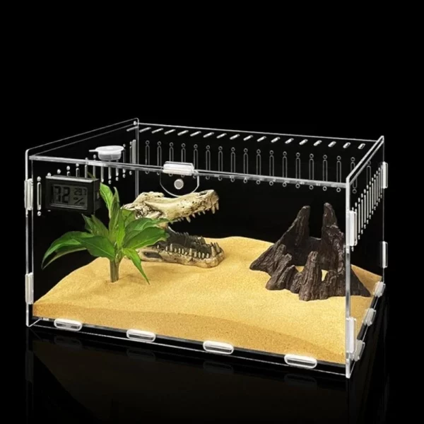 Acrylic terrarium for small reptiles, showing ventilation holes