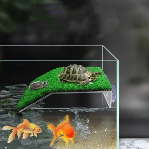 Reptiles